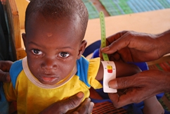 Red Cross responds to food shortages in the Sahel region